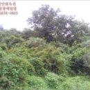 장은보건진료소 이미지