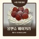 경기도 수원시 영통구 매탄로168번길 | 수원 매탄동 산드래미 봉앤슈베이커리 미니생크림케이크 내돈내산 후기