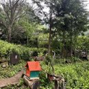 하늘길쉼터민박 이미지