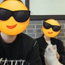 뚱냥한하루 네이버블로그
