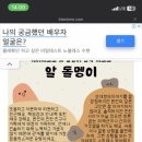 디엠엔 크리에이티브 이미지