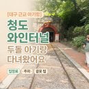 와인터널 | [대구 근교 아기랑] 청도 와인터널 후기｜두돌 아기 입장료·주차·겉옷 팁