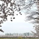 안양천 다목적광장 이미지