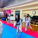 라온 키즈 태권도 이미지