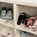 개좋은 유치원 이미지