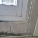 서변중학교 | [공지] 대구탄성코트 시공으로 깨끗해진 동서변리벤빌입니다.