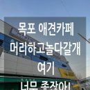 놀다올개 이미지
