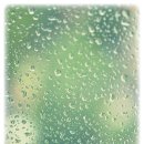 댑 코리아 이미지