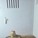 우드원