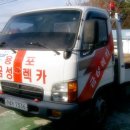 금성부란자
