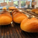 올리데이 이미지