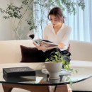 힐링스포&스파 이미지