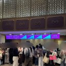 첼로 (B) | 누구나 클래식 with 강릉시향 첼로 문태국 4월 후기