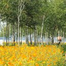 아침풍경 이미지