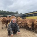 한우사육농장 이미지