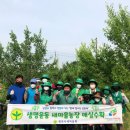 제천시자원봉사센터, 한국철도와 손잡고 ‘안녕 충북 나눔 마을 만들기’ 전개 이미지