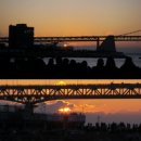 해뜨는 해수월드 이미지