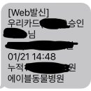 에이블동물병원 이미지