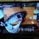 어부참치
