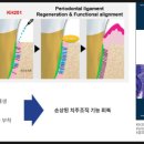 오리온신물질 네이버블로그
