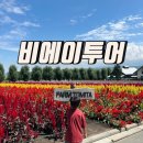 비에이투어 삿포로 후라노 일일투어 일본 북해도 6월 7월 8월 여름 여행