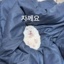 냠냠 - 은평구 녹번로 51-1 | 냠냠