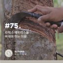라텍스 메트리스를 바꿔야 하는 이유