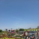 세븐일레븐 광주금남로오월점 | 5월 광주 가 볼 만한 곳, 518 기념행사와 조대 장미축제(26년 5월 25일까지) - 5.17 다녀온 후기