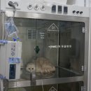 해동물병원 이미지