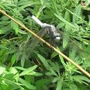 구월4동-13 이미지