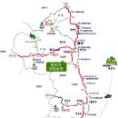 왕피천 숲속 캠핑장 이미지