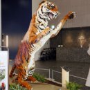 갤러리아 광교 이미지