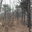 강화군농업기술센터 이미지