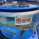 사당역 맛집 겨울철 필수! 방어가 맛있는 사당역 횟집 태양회수산