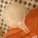 이미용뷰티 | 올리브영 미용실 샴푸 추천 박준뷰티랩 LPP 단백질 샴푸 플러스 손상모 탈출 후기
