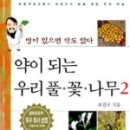 약나무마실 이미지