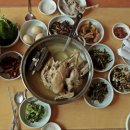 솔도토종닭