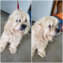 송탄1로 이미지