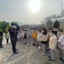 🥬현장체험학습: 자연과 숲 아이들-배추뽑기🥬 이미지