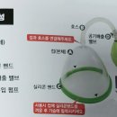 엘컴퍼니(L.company)