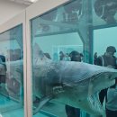 영생약국 | 4월 서울전시회 추천 데미안 허스트 국립현대미술관 MMCA 전시 후기