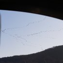 신아중학교 이미지