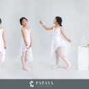 파파야스튜디오 네이버블로그