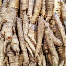 더덕이네 이미지