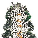 두척동010 이미지