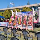 하이초등학교 이미지