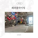 일산 클라이밍 페퍼클라이밍 삼송 원흥 실내 클라이밍 체험 후기