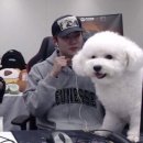 오비비