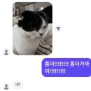 수원 카닥터 | 2026 1월부터 기세가 좋다