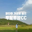 OUR 골프 | [태국 여행] 파타야 가성비 골프 푸탈루앙cc 뿌딸루앙 해군 골프장 가격, 예약 방법 및 후기